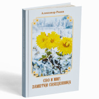 СВО и мир. Заметки священника – Родин А.